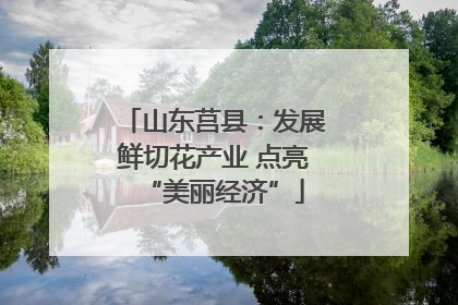 山东莒县：发展鲜切花产业 点亮“美丽经济”