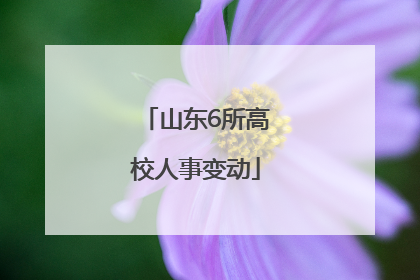 山东6所高校人事变动