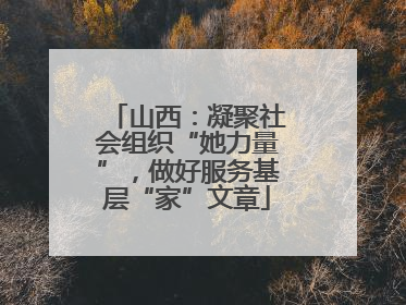 山西：凝聚社会组织“她力量”，做好服务基层“家”文章