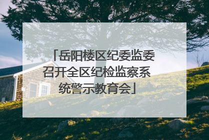 岳阳楼区纪委监委召开全区纪检监察系统警示教育会