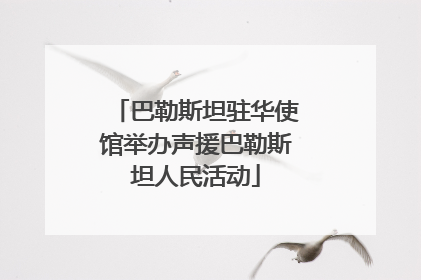 巴勒斯坦驻华使馆举办声援巴勒斯坦人民活动