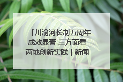 川渝河长制五周年成效显著 三方面看两地创新实践｜新闻发布最前线