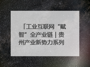 工业互联网“赋智”全产业链｜贵州产业新势力系列报道之八