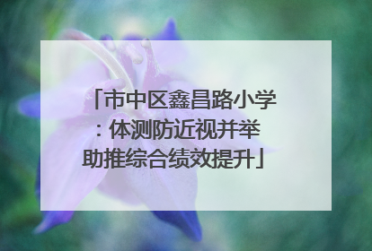 市中区鑫昌路小学：体测防近视并举 助推综合绩效提升