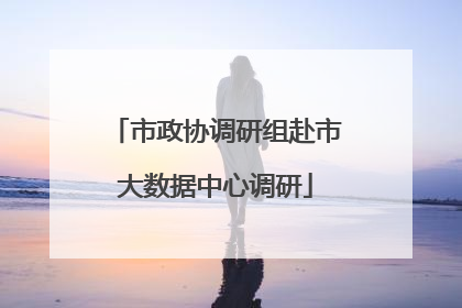 市政协调研组赴市大数据中心调研