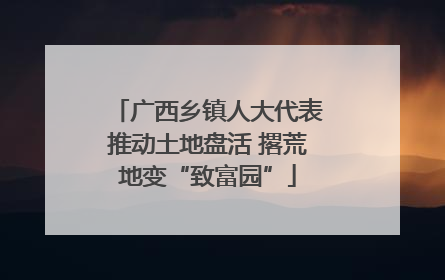 广西乡镇人大代表推动土地盘活 撂荒地变“致富园”