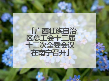 广西壮族自治区总工会十三届十二次全委会议在南宁召开
