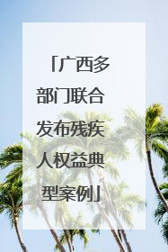 广西多部门联合发布残疾人权益典型案例