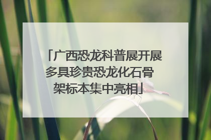 广西恐龙科普展开展 多具珍贵恐龙化石骨架标本集中亮相