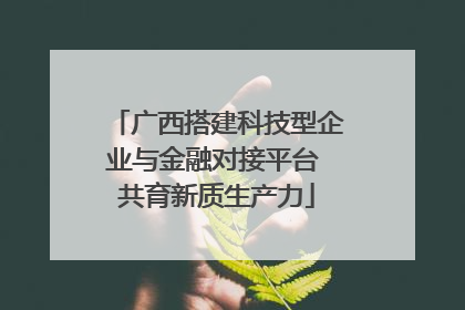 广西搭建科技型企业与金融对接平台 共育新质生产力