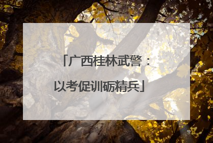 广西桂林武警：以考促训砺精兵