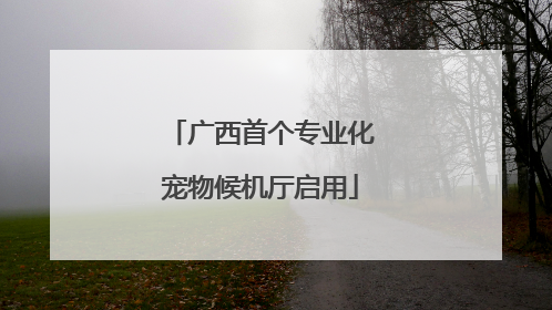 广西首个专业化宠物候机厅启用