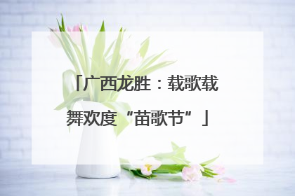 广西龙胜：载歌载舞欢度“苗歌节”