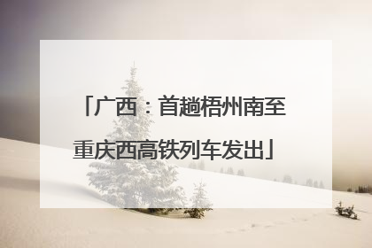 广西：首趟梧州南至重庆西高铁列车发出