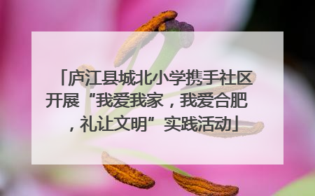 庐江县城北小学携手社区开展“我爱我家，我爱合肥，礼让文明”实践活动