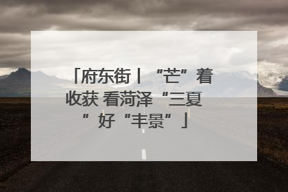 府东街丨“芒”着收获 看菏泽“三夏”好“丰景”