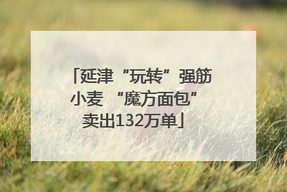 延津“玩转”强筋小麦 “魔方面包”卖出132万单