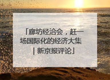 廊坊经洽会，赶一场国际化的经济大集｜新京报评论
