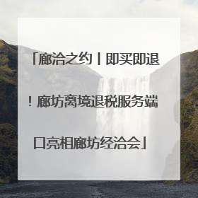 廊洽之约丨即买即退！廊坊离境退税服务端口亮相廊坊经洽会