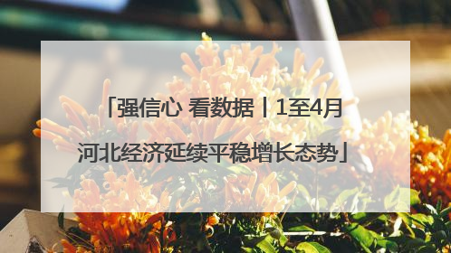 强信心 看数据丨1至4月河北经济延续平稳增长态势