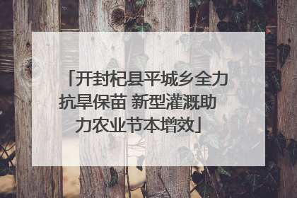 开封杞县平城乡全力抗旱保苗 新型灌溉助力农业节本增效