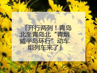 开行两列！青岛北至青岛北“青烟威半岛环行”动车组列车来了