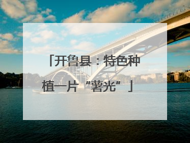 开鲁县：特色种植一片“薯光”