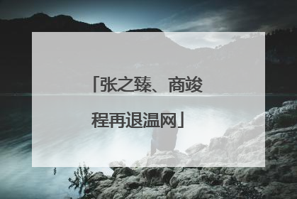 张之臻、商竣程再退温网