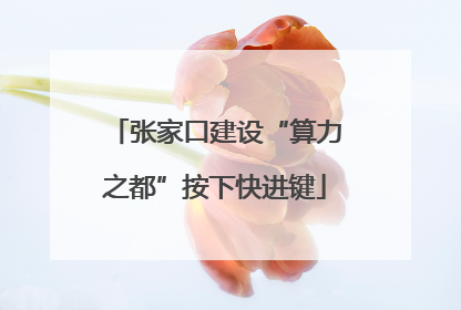 张家口建设“算力之都”按下快进键