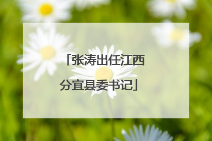 张涛出任江西分宜县委书记