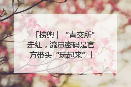 捞舆｜“青交所”走红，流量密码是官方带头“玩起来”