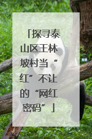 探寻泰山区王林坡村当“红”不让的“网红密码”