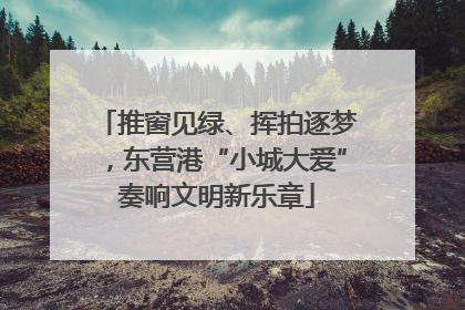 推窗见绿、挥拍逐梦，东营港“小城大爱”奏响文明新乐章