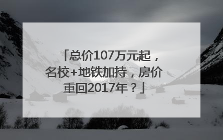 总价107万元起，名校+地铁加持，房价重回2017年？