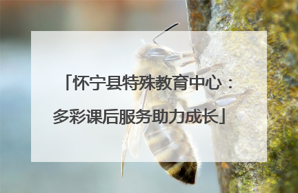 怀宁县特殊教育中心：多彩课后服务助力成长