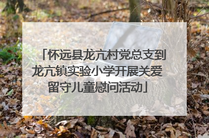 怀远县龙亢村党总支到龙亢镇实验小学开展关爱留守儿童慰问活动