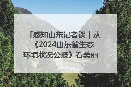感知山东记者谈｜从《2024山东省生态环境状况公报》看美丽山东建设的“成绩单”与“任务书”