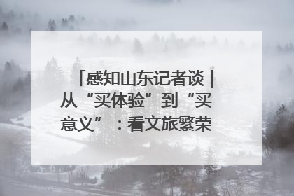 感知山东记者谈｜从“买体验”到“买意义”：看文旅繁荣背后的幸福新定义