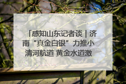 感知山东记者谈｜济南“真金白银”力推小清河航道 黄金水道激活区域经济新动能