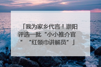 我为家乡代言！崇阳评选一批“小小推介官”“红领巾讲解员”