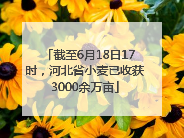 截至6月18日17时，河北省小麦已收获3000余万亩