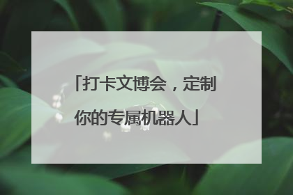 打卡文博会，定制你的专属机器人
