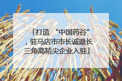 打造 “中国药谷”，驻马店市市长诚邀长三角高精尖企业入驻