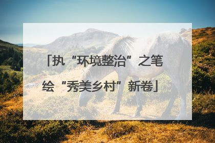 执“环境整治”之笔 绘“秀美乡村”新卷