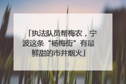 执法队员帮梅农，宁波这条“杨梅街”有最鲜甜的市井烟火