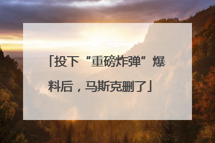 投下“重磅炸弹”爆料后，马斯克删了