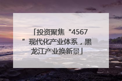 投资聚焦“4567”现代化产业体系，黑龙江产业换新景