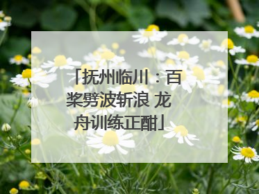 抚州临川：百桨劈波斩浪 龙舟训练正酣