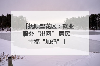 抚顺望花区：就业服务“出圈” 居民幸福“加码”