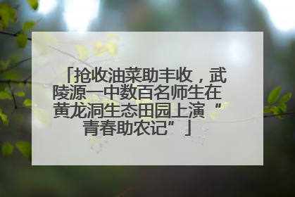 抢收油菜助丰收，武陵源一中数百名师生在黄龙洞生态田园上演“青春助农记”